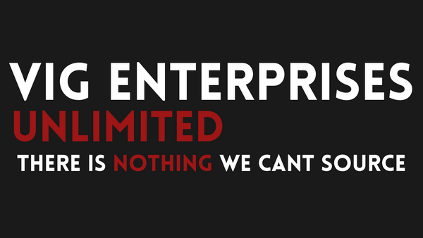 VIG ENTERPRISES UNLIMITED